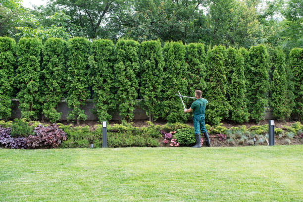 Lawn Grading and Leveling in Cumberland Center, ME